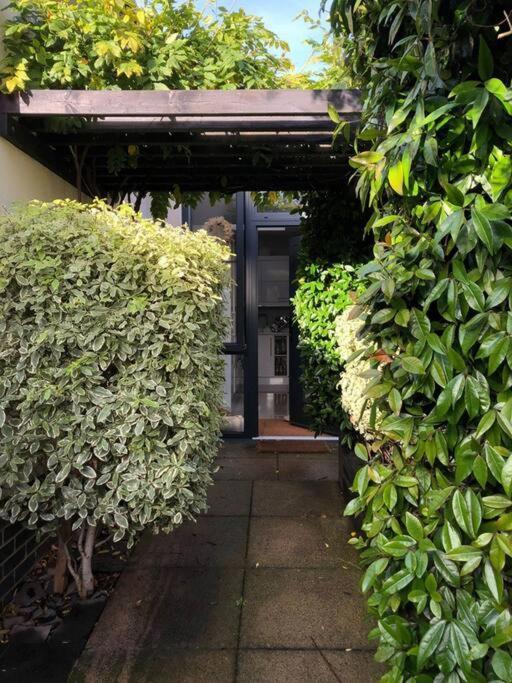 Private Garden Oasis In Central Bristol Dış mekan fotoğraf